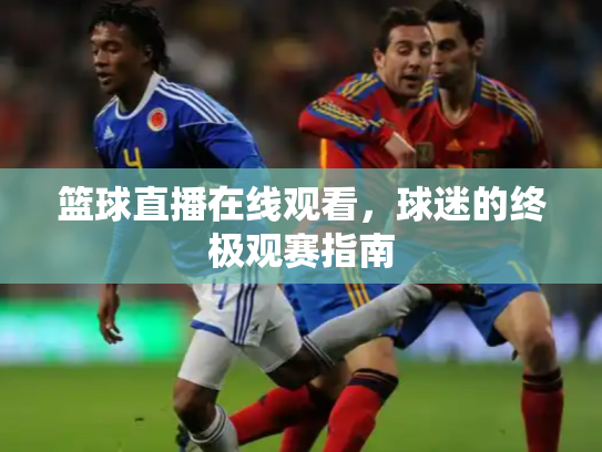 篮球直播在线观看，球迷的终极观赛指南