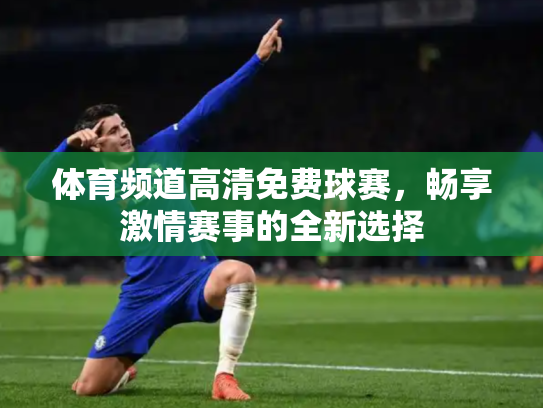 体育频道高清免费球赛，畅享激情赛事的全新选择