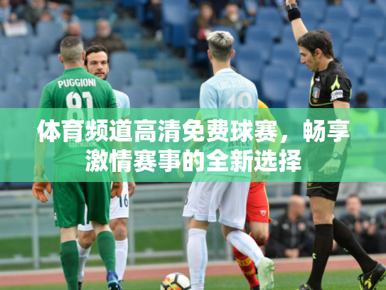 体育频道高清免费球赛，畅享激情赛事的全新选择
