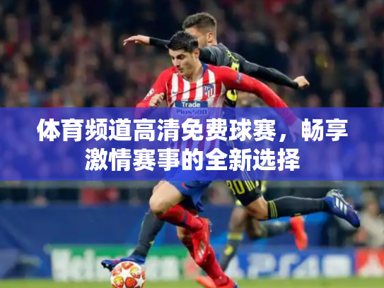体育频道高清免费球赛，畅享激情赛事的全新选择