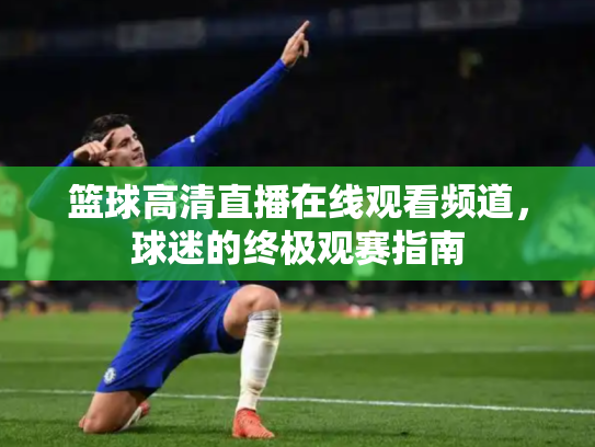 篮球高清直播在线观看频道，球迷的终极观赛指南