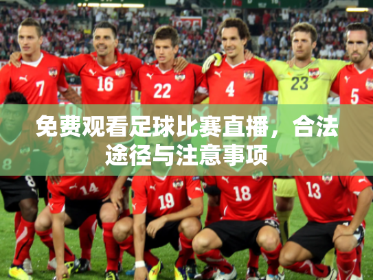 免费观看足球比赛直播，合法途径与注意事项