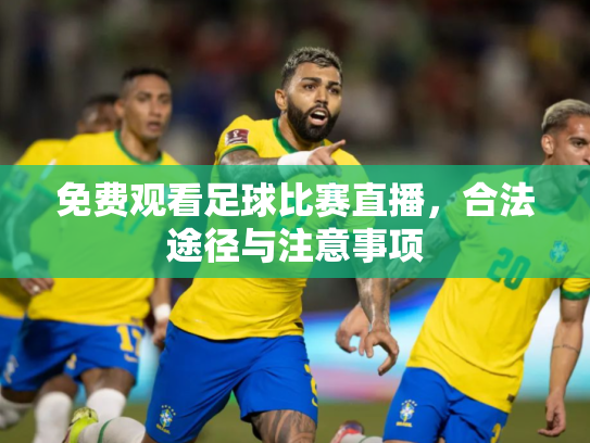 免费观看足球比赛直播，合法途径与注意事项