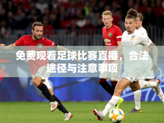 免费观看足球比赛直播，合法途径与注意事项
