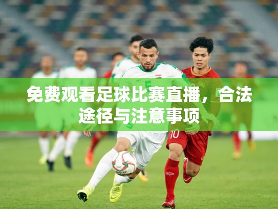 免费观看足球比赛直播，合法途径与注意事项