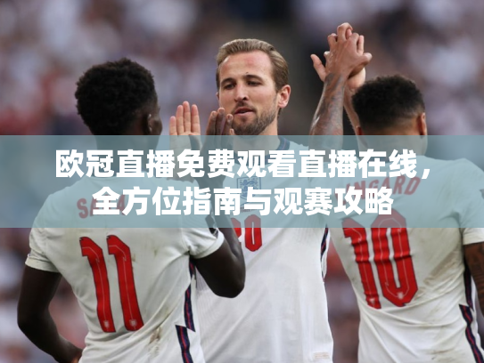 欧冠直播免费观看直播在线，全方位指南与观赛攻略