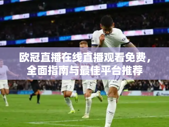 欧冠直播在线直播观看免费，全面指南与最佳平台推荐