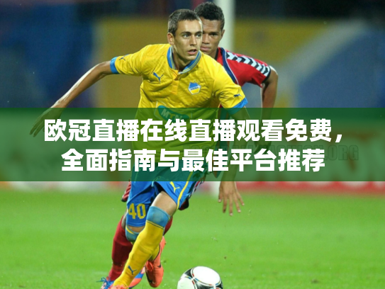 欧冠直播在线直播观看免费，全面指南与最佳平台推荐