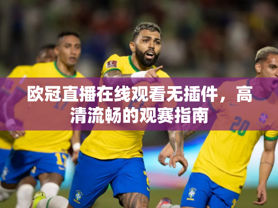 欧冠直播在线观看无插件，高清流畅的观赛指南