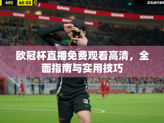 欧冠杯直播免费观看高清，全面指南与实用技巧