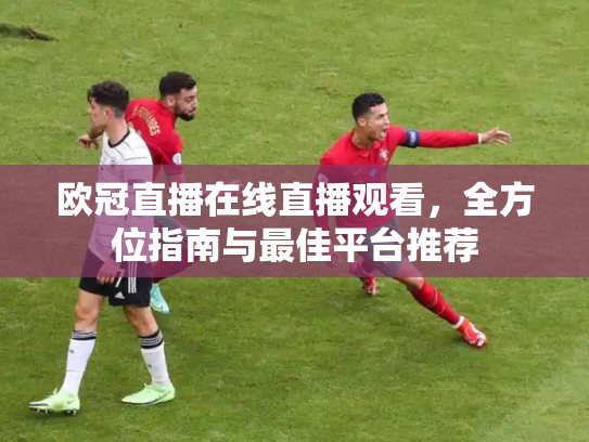 欧冠直播在线直播观看，全方位指南与最佳平台推荐