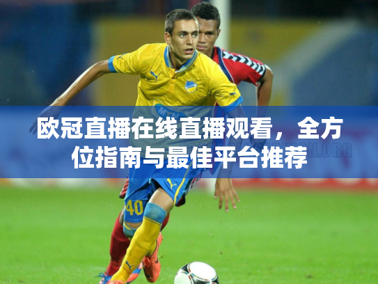 欧冠直播在线直播观看，全方位指南与最佳平台推荐