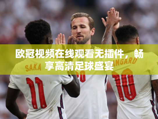 欧冠视频在线观看无插件，畅享高清足球盛宴