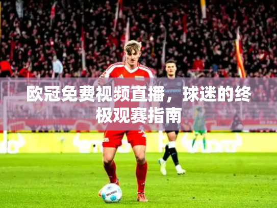 欧冠免费视频直播，球迷的终极观赛指南