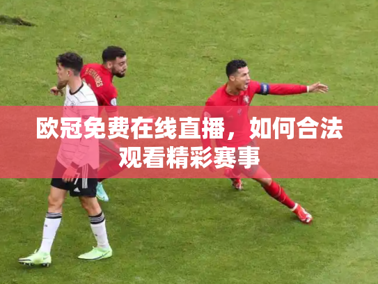 欧冠免费在线直播，如何合法观看精彩赛事