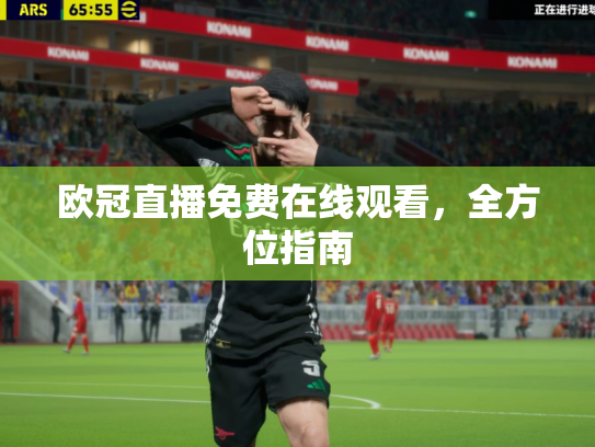 欧冠直播免费在线观看，全方位指南