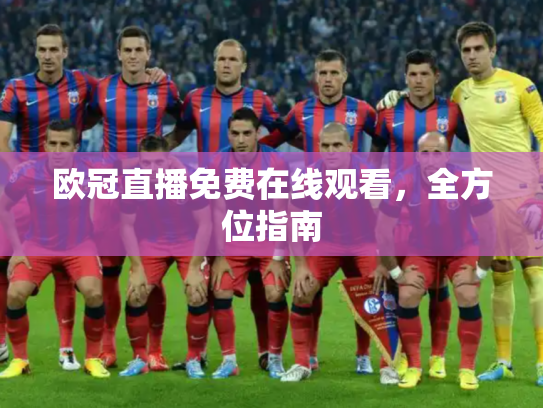 欧冠直播免费在线观看，全方位指南