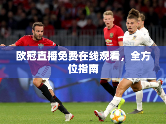 欧冠直播免费在线观看，全方位指南