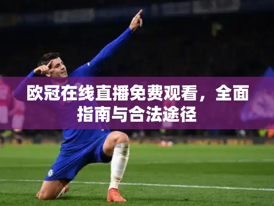 欧冠在线直播免费观看，全面指南与合法途径
