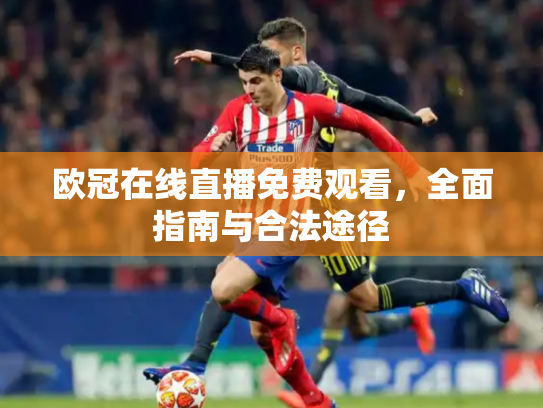 欧冠在线直播免费观看，全面指南与合法途径
