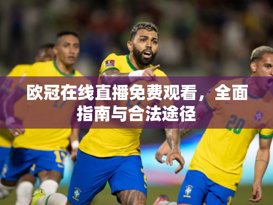 欧冠在线直播免费观看，全面指南与合法途径