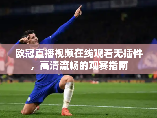 欧冠直播视频在线观看无插件，高清流畅的观赛指南
