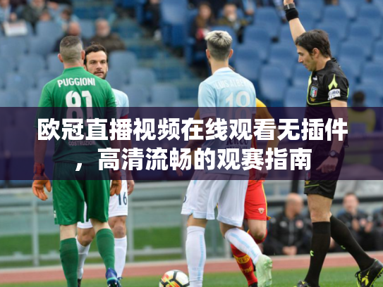 欧冠直播视频在线观看无插件，高清流畅的观赛指南