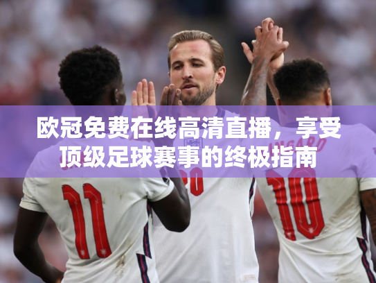 欧冠免费在线高清直播，享受顶级足球赛事的终极指南