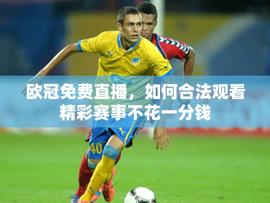 欧冠免费直播，如何合法观看精彩赛事不花一分钱