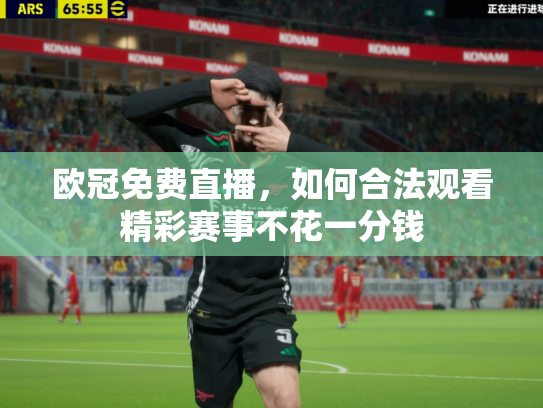 欧冠免费直播，如何合法观看精彩赛事不花一分钱