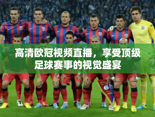 高清欧冠视频直播，享受顶级足球赛事的视觉盛宴
