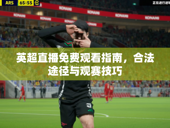 英超直播免费观看指南，合法途径与观赛技巧