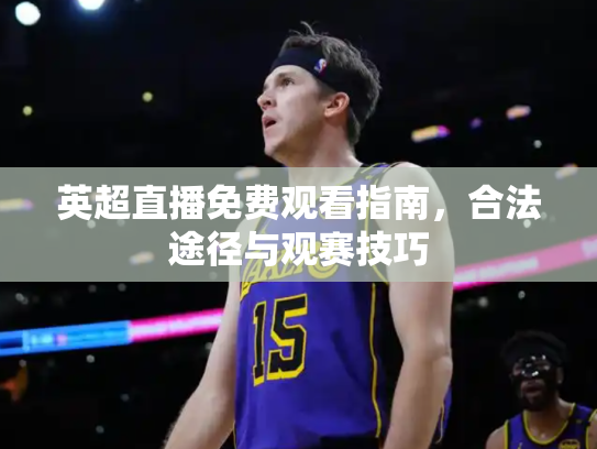 英超直播免费观看指南，合法途径与观赛技巧
