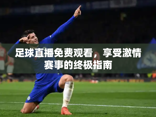 足球直播免费观看，享受激情赛事的终极指南