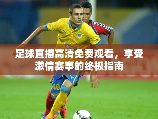 足球直播高清免费观看，享受激情赛事的终极指南