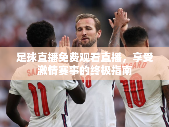 足球直播免费观看直播，享受激情赛事的终极指南