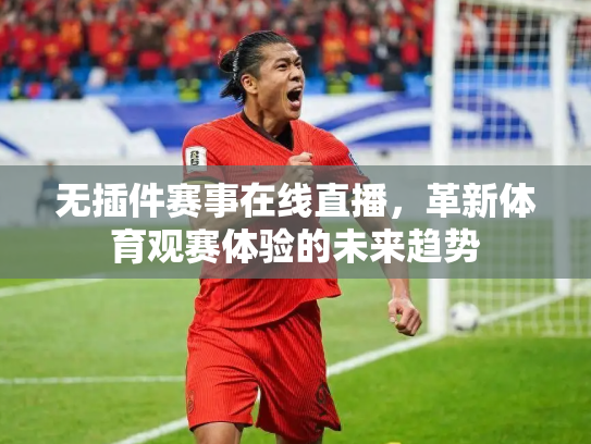 无插件赛事在线直播，革新体育观赛体验的未来趋势