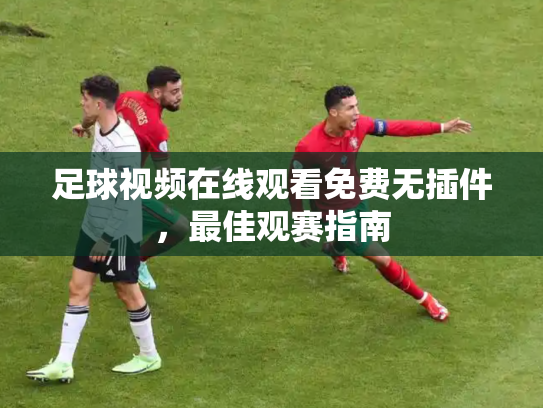 足球视频在线观看免费无插件，最佳观赛指南