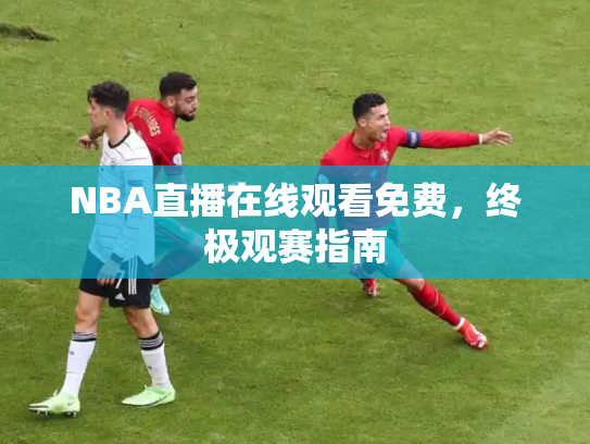 NBA直播在线观看免费，终极观赛指南