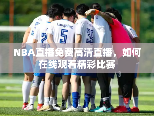 NBA直播免费高清直播，如何在线观看精彩比赛