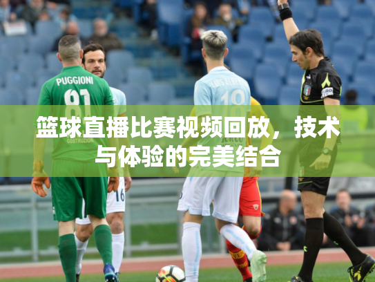 篮球直播比赛视频回放，技术与体验的完美结合