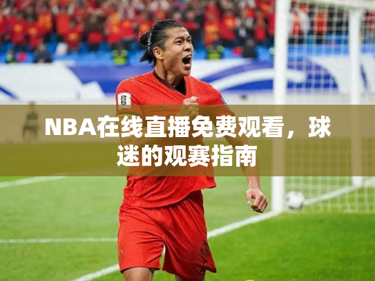NBA在线直播免费观看，球迷的观赛指南