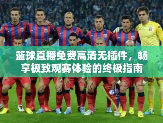 篮球直播免费高清无插件，畅享极致观赛体验的终极指南