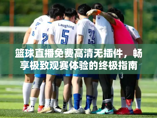 篮球直播免费高清无插件，畅享极致观赛体验的终极指南
