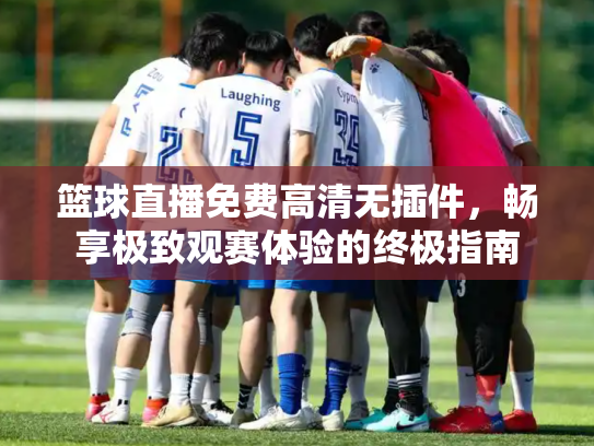 篮球直播免费高清无插件，畅享极致观赛体验的终极指南