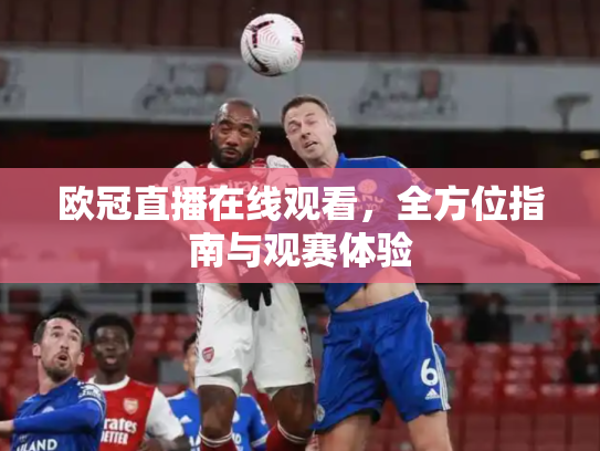 欧冠直播在线观看，全方位指南与观赛体验