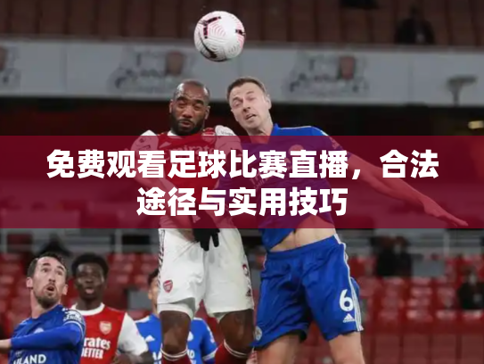 免费观看足球比赛直播，合法途径与实用技巧
