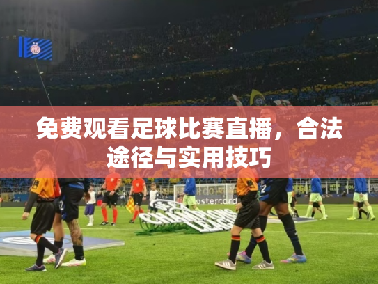 免费观看足球比赛直播，合法途径与实用技巧