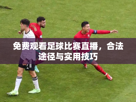 免费观看足球比赛直播，合法途径与实用技巧