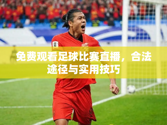 免费观看足球比赛直播，合法途径与实用技巧